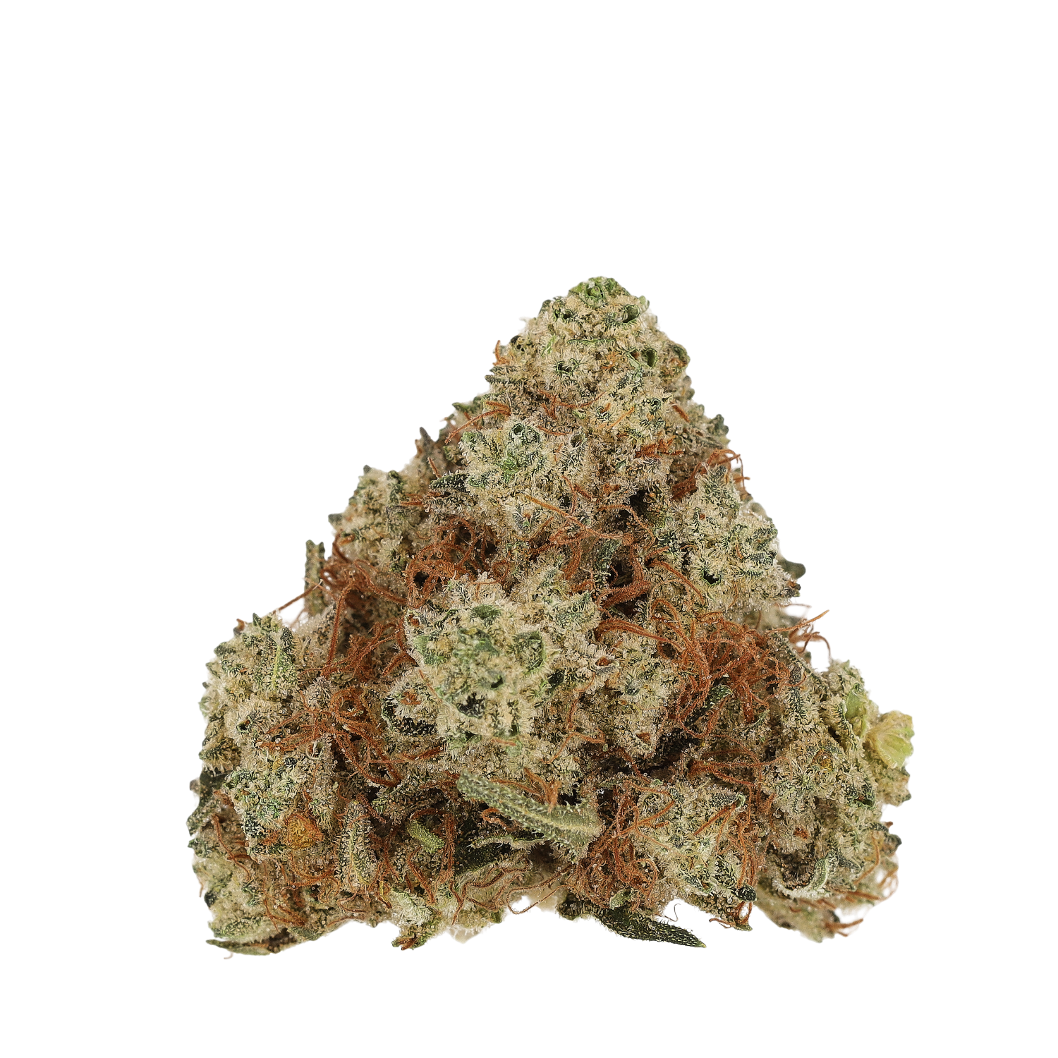 Cannamedical Hybrid Forte DK 22/1 Ghost Train Haze